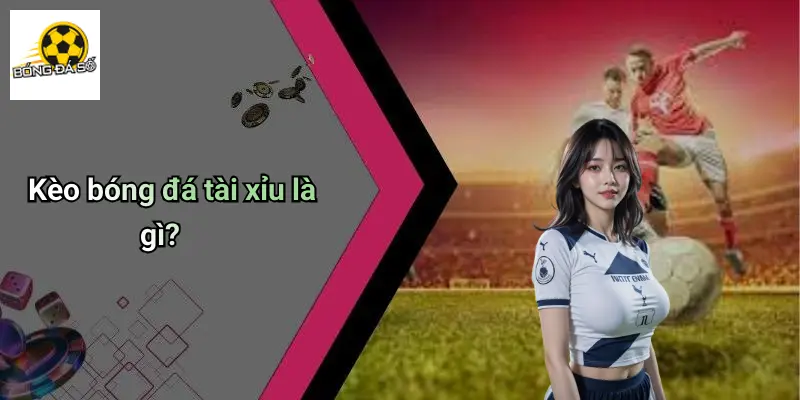 Kèo Bóng Đá Tài Xỉu: Phân Tích Xu Hướng Và Kinh Nghiệm Hay 1 Kèo Bóng Đá Tài Xỉu
