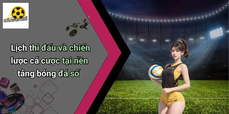 Lịch Thi Đấu