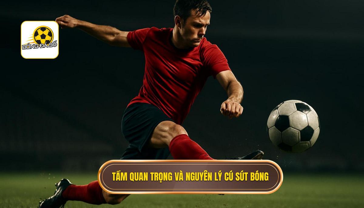 Tầm quan trọng và nguyên lý khoa học của cú sút mu bàn chân